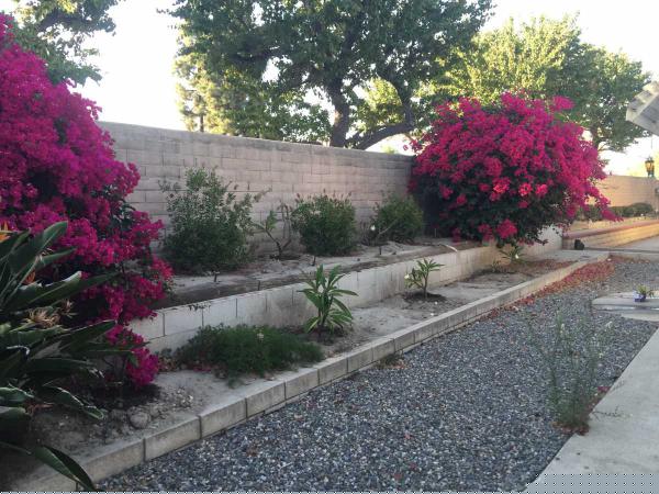Sunkist Gardens Mobile Home Park1400 S. SunkistAnaheim, CA 92806