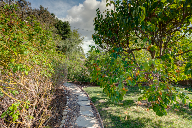 304 Shady Ln, Ojai, United States 93023