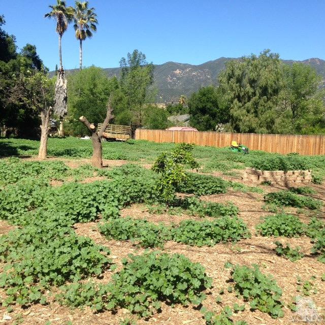 377 North La Luna Avenue, Ojai, CA 93023