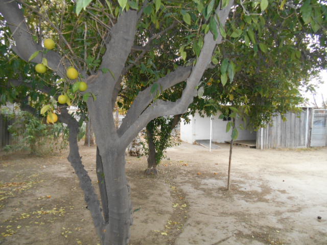 8317 Bernard AveLamont, CA, 93241Kern County
