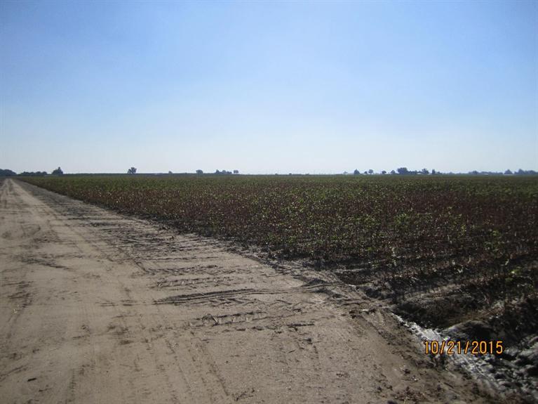 22311 Grangeville Boulevard, Lemoore, CA 93245