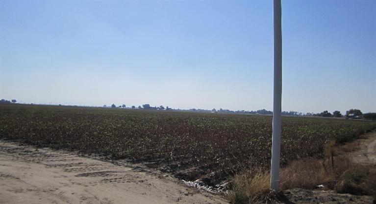 22311 Grangeville Boulevard, Lemoore, CA 93245