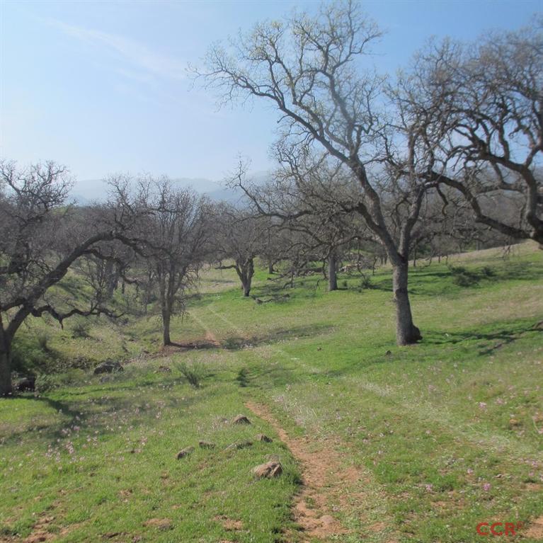 Hwy 166 Hwy, Cuyama, United States 93254