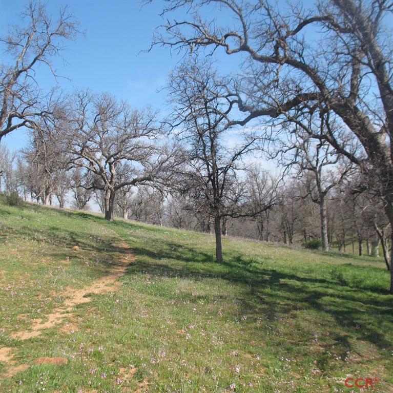 Hwy 166 Hwy, Cuyama, United States 93254