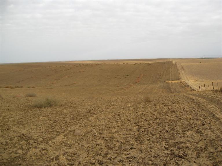 0 Highway 190