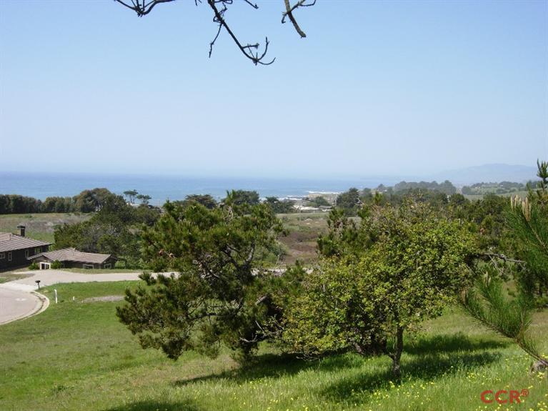 Chelsea Lane, Cambria, United States 93428