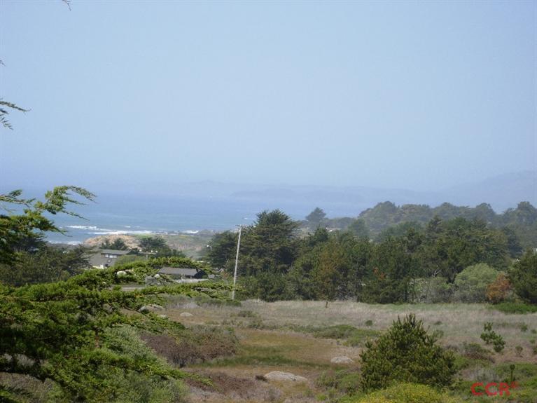 Chelsea Lane, Cambria, United States 93428