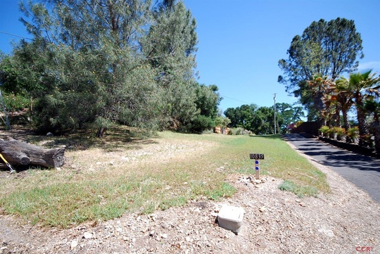 3114 Bridle Trail Ln