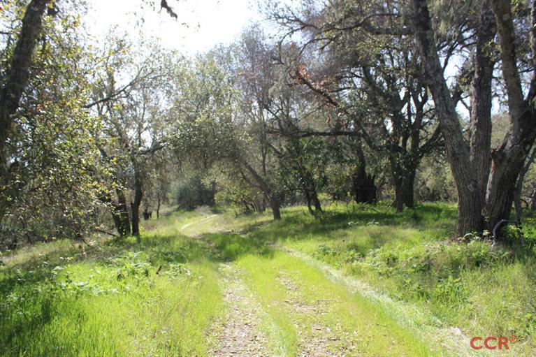 0 Live Oak Road, Paso Robles, CA 93446