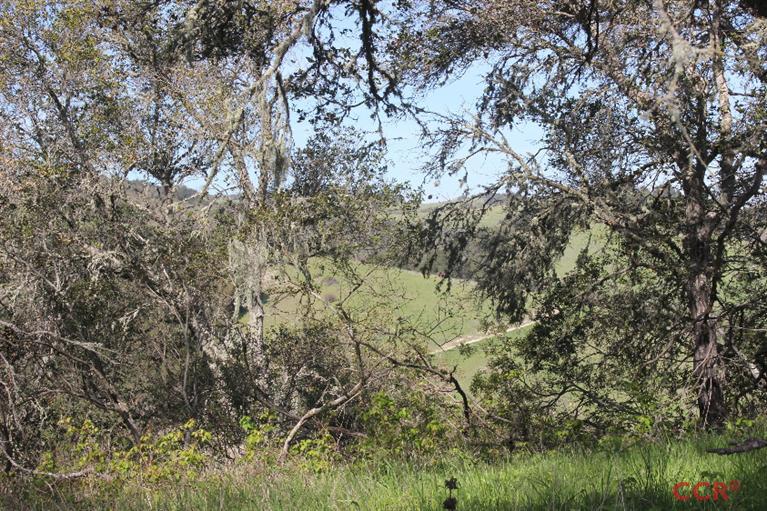 0 Live Oak Road, Paso Robles, CA 93446