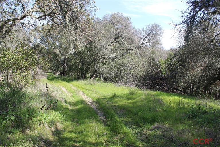 0 Live Oak Road, Paso Robles, CA 93446