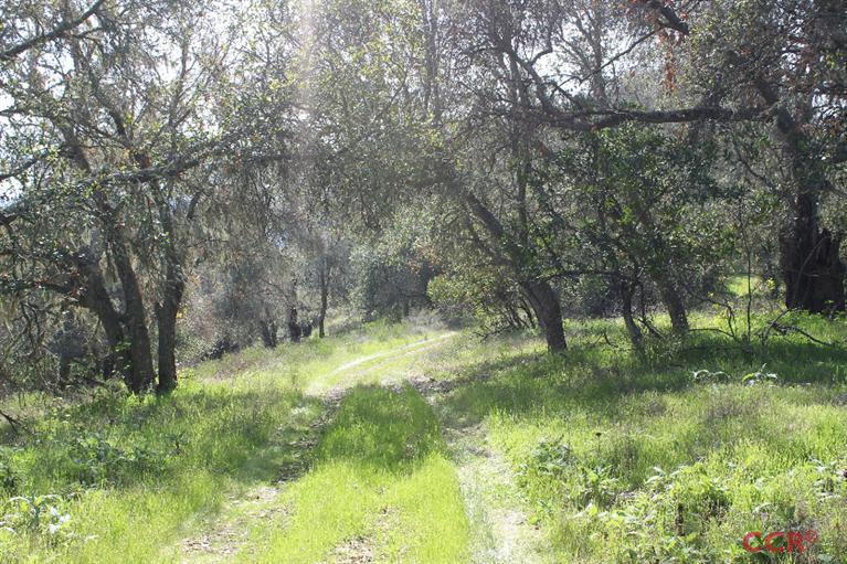 0 Live Oak Road, Paso Robles, CA 93446