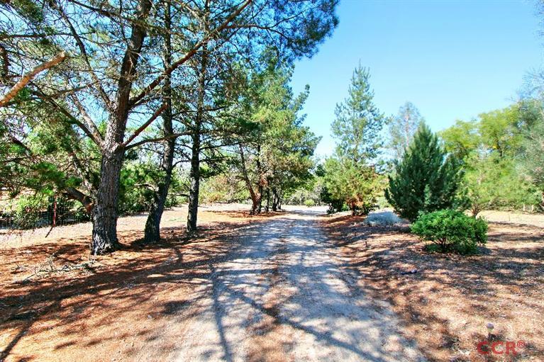 1475 Barley Grain, Paso Robles, CA 93446