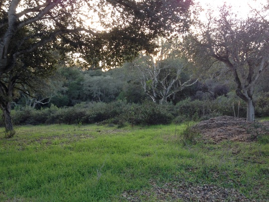 0 Vineyard Canyon Road