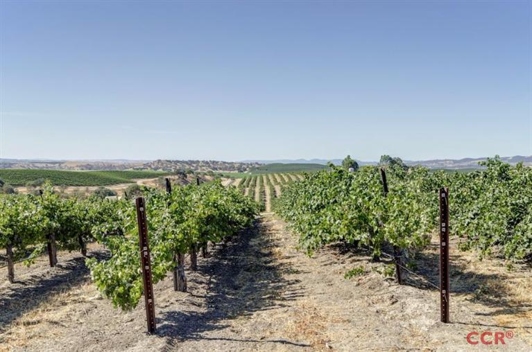 8250 Magdalena Drive, San Miguel, CA 93451