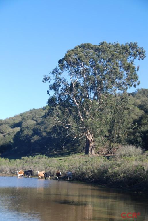 0 Long Canyon Road, Santa Maria, CA 93454