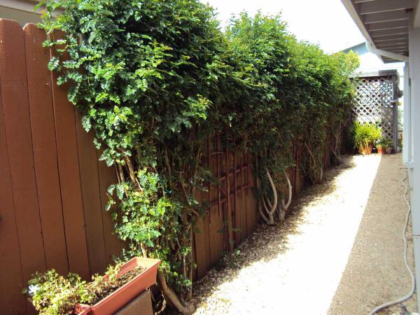Rancho Buena Vista Estates2139 AVENIDA RIVIERASanta Maria, CA 93458