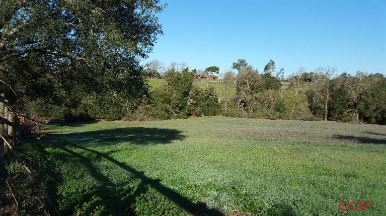 1421 Meadowvale Road, Santa Ynez, CA 93460