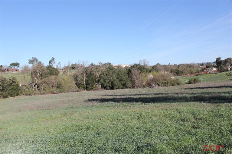 1421 Meadowvale Road, Santa Ynez, CA 93460