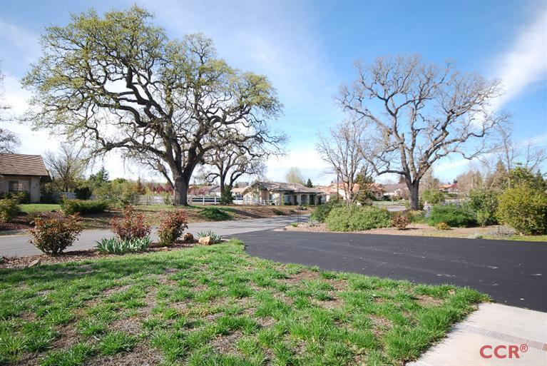 541 Burlwood Lane, Templeton, CA 93465