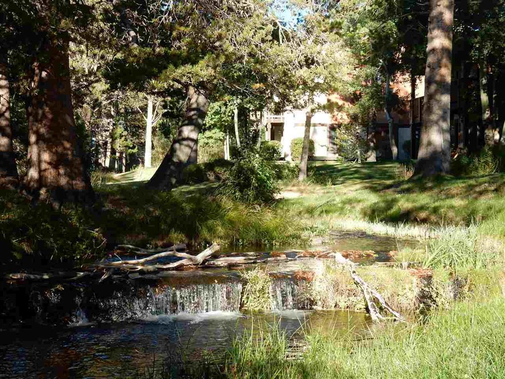 451 Snowcreek Road #451, Mammoth Lakes, United States 93546