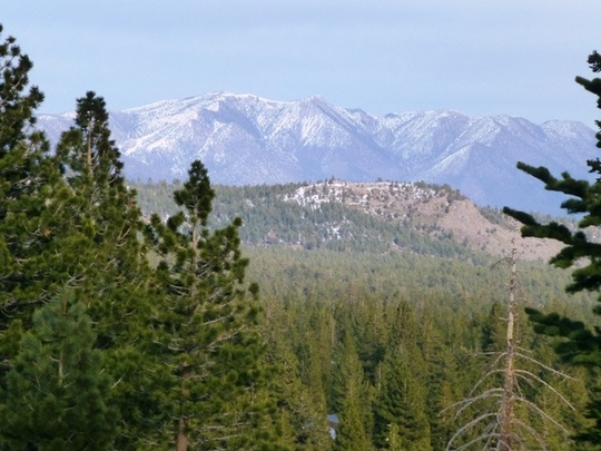 Cactus Flats