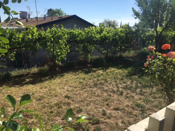 Boulders At The Ranch I 40701 Rancho Vista BLVD #239Palmdale, CA 93551