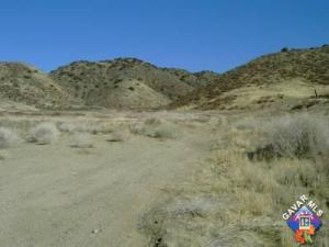 0 Viv 80th Ste Ave N8, Leona Valley, CA 93551