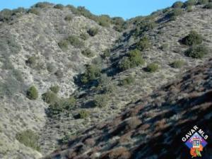 0 Viv 80th Ste Ave N8, Leona Valley, CA 93551