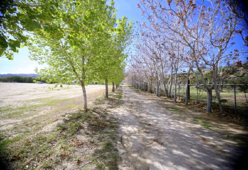 5630 Barrel Springs Rd, Palmdale, United States 93552