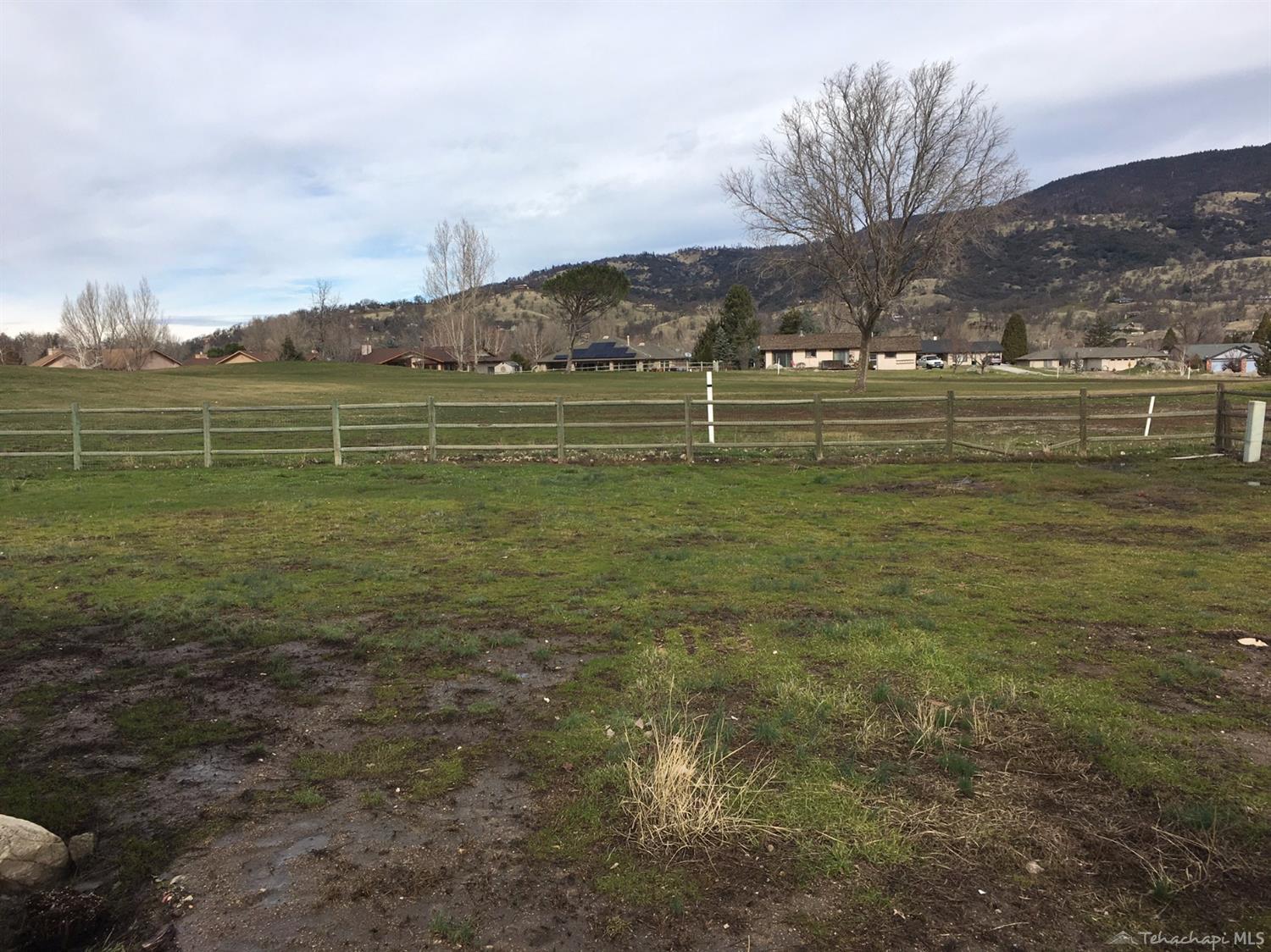 29821 Jamaica Dunes Drive, Tehachapi, CA 93561