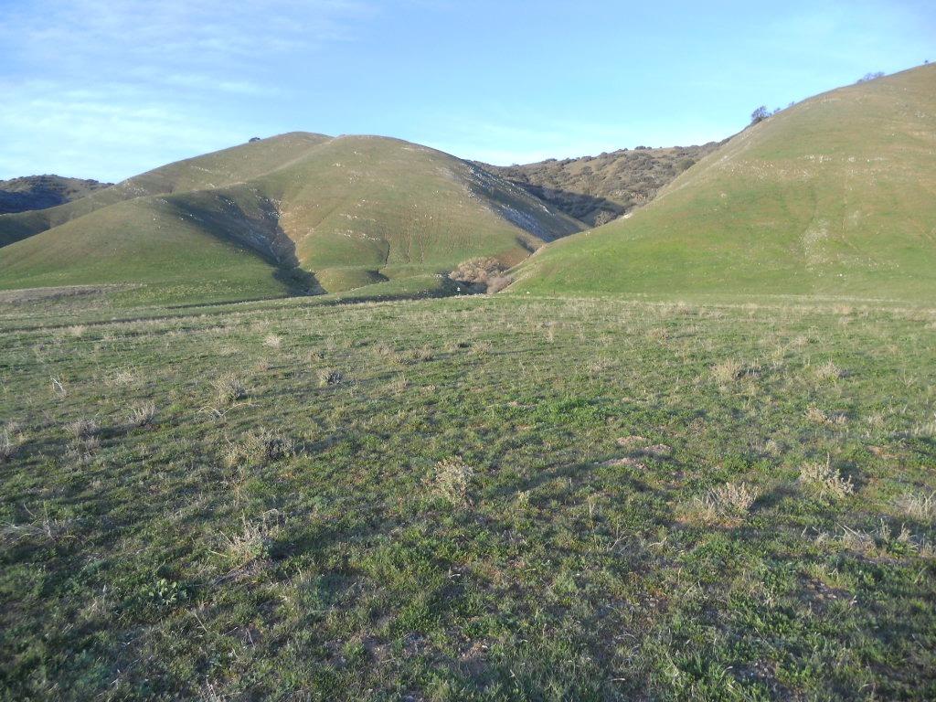 0 Mountain Springs Lane, Tehachapi, CA 93561
