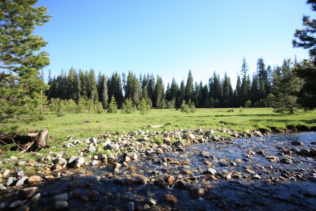 20.55 AC Beasore Rd, Bass Lake, United States 93604