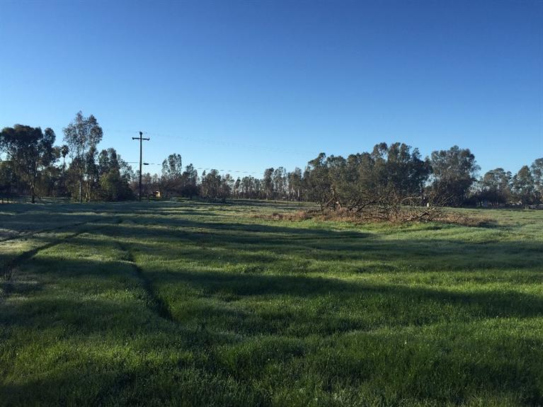 9122 E Herndon Ave, Clovis, United States 93619