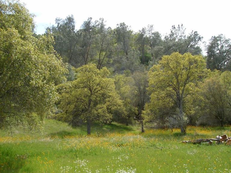 0 Road 210, Friant, CA 93626
