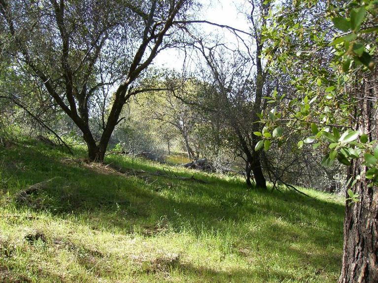 0 Road 210, Friant, CA 93626