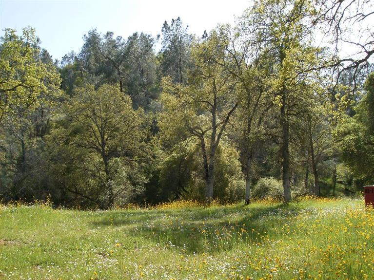 0 Road 210, Friant, CA 93626