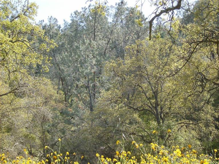 0 Road 210, Friant, CA 93626