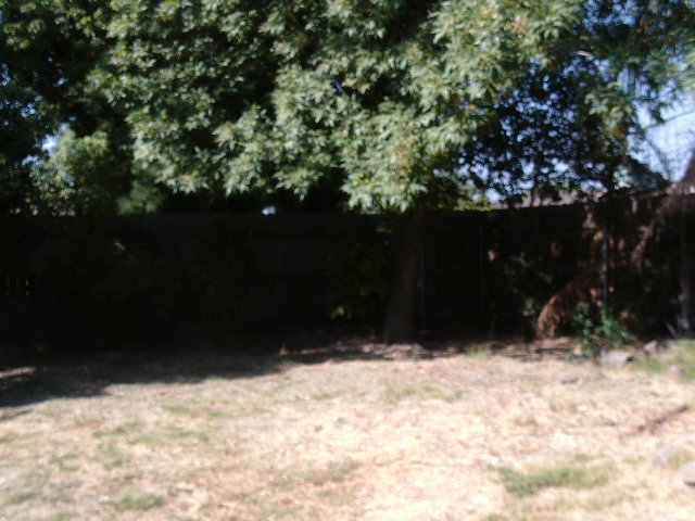 901 10th AveKingsburg, CA, 93631Fresno County