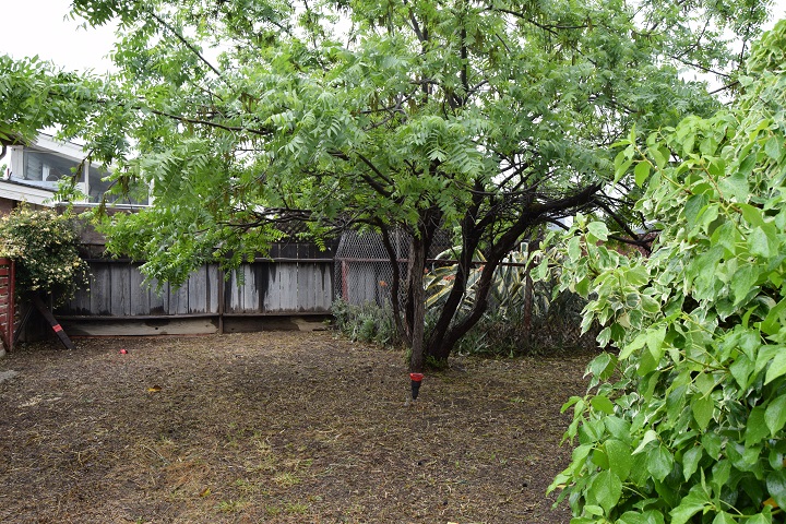 1402 S Nevada AveLos Banos, CA, 93635Merced County