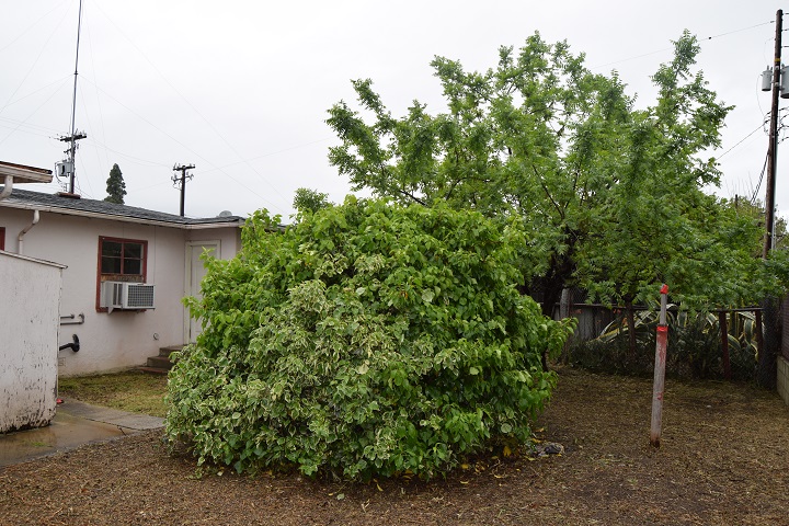 1402 S Nevada AveLos Banos, CA, 93635Merced County