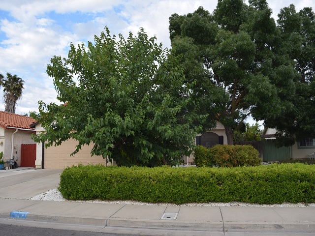 250 Chestnut StreetLos Banos, CA, 93635Merced County