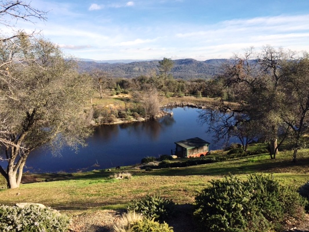 29172 Phoenix Loop, O&#039;Neals, United States 93645
