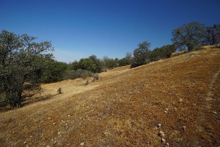 0 ROAD 612, Raymond, CA 93653