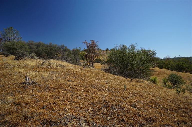0 ROAD 612, Raymond, CA 93653