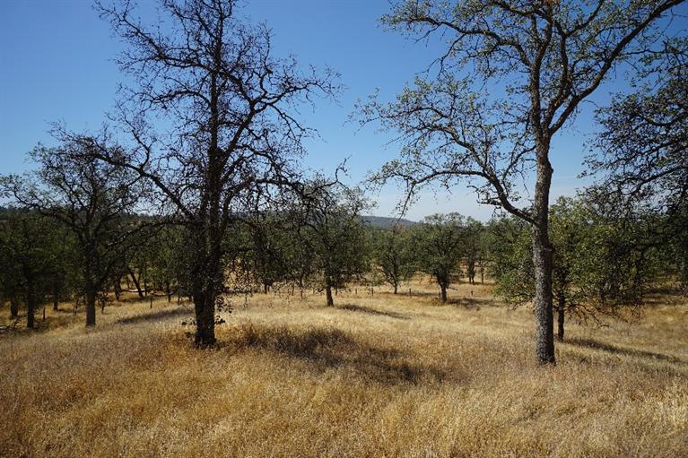 0 ROAD 612, Raymond, CA 93653