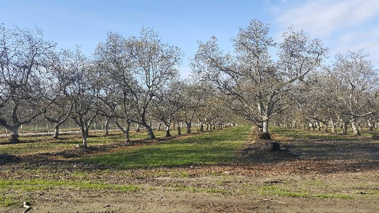 1534 South Riverbend Avenue, Sanger, CA 93657