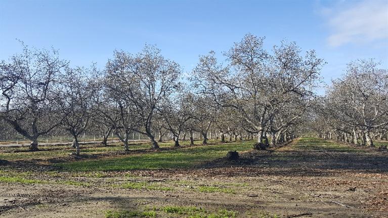 1534 South Riverbend Avenue, Sanger, CA 93657