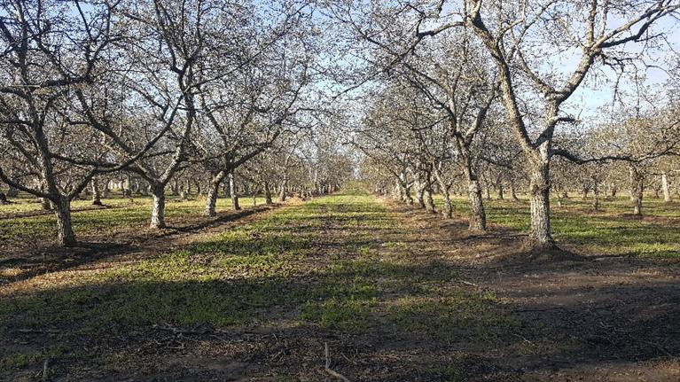 1534 South Riverbend Avenue, Sanger, CA 93657