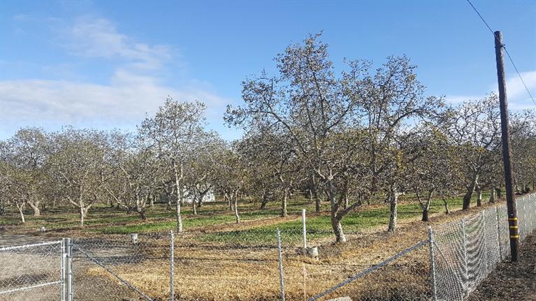 1534 South Riverbend Avenue, Sanger, CA 93657